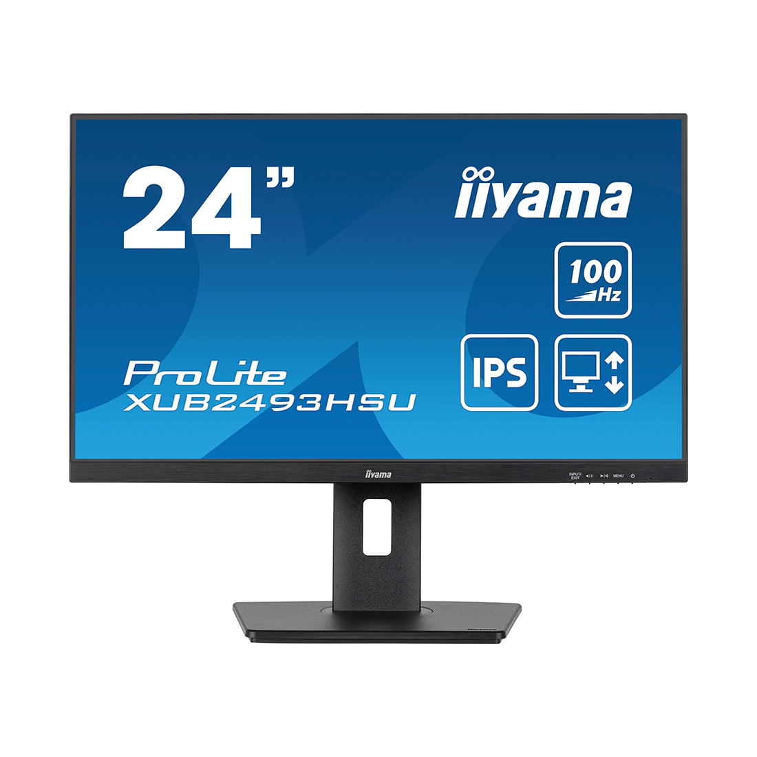 Монитор iiyama ProLite PL2493HS XUB2493HSU-B7 A 23.8"