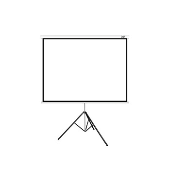 Экран на треноге XG DLS-T244x183W, Раб. поверхность 232х174 см.